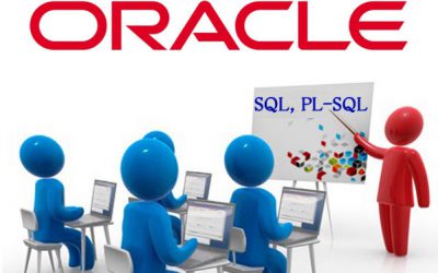 Oracle Application Training