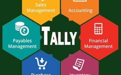 Tally Training