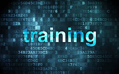 Web Technologies and Framework Training